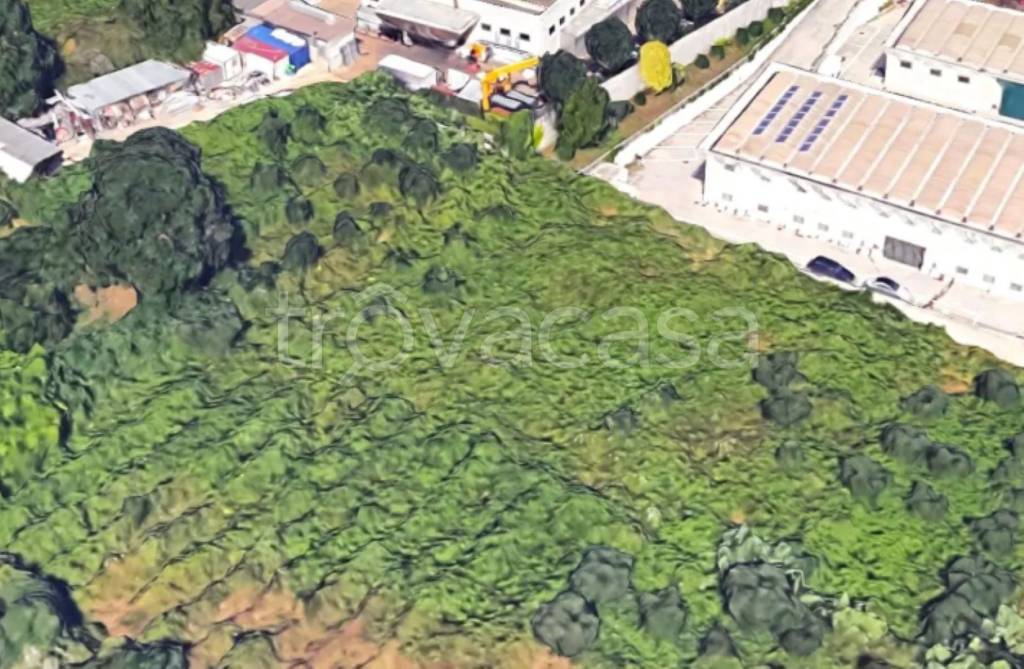 immagine annuncio 2 di 9