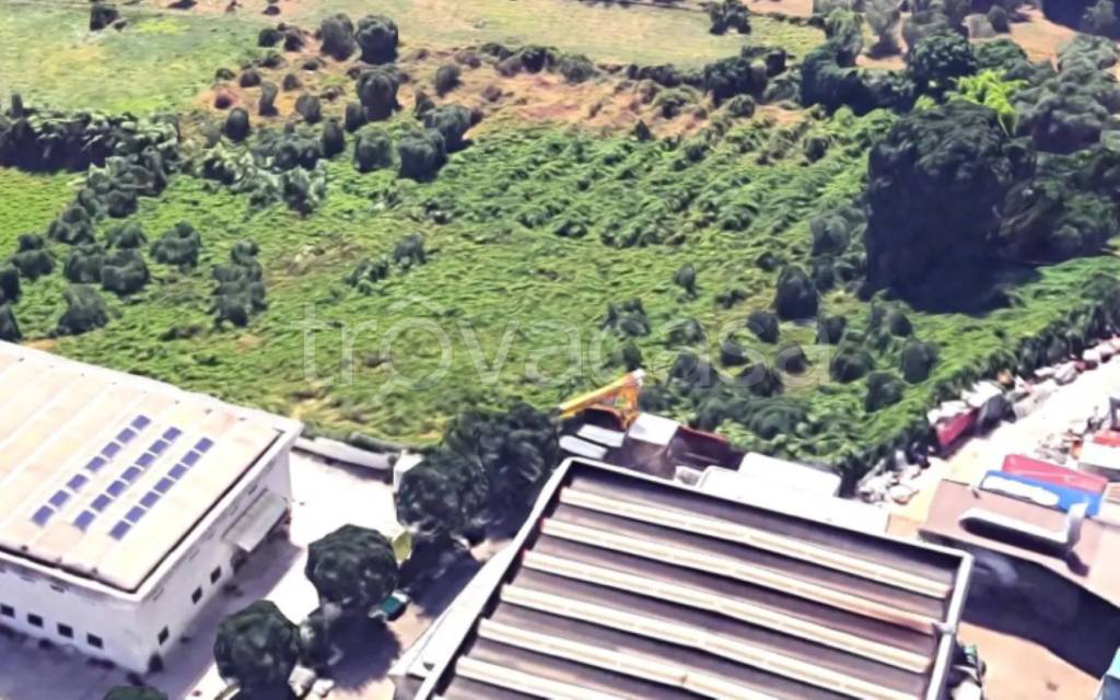 immagine annuncio 4 di 9