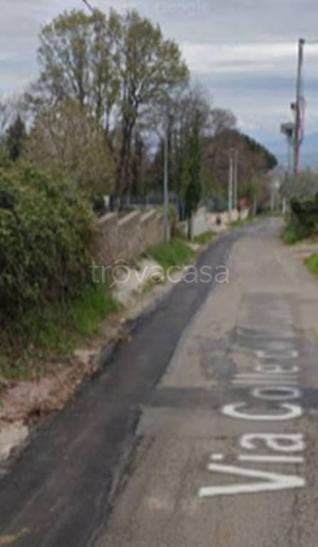 immagine annuncio 5 di 9