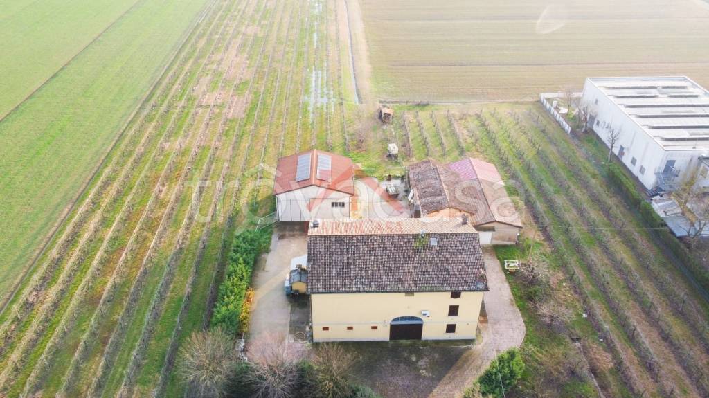 immagine annuncio 2 di 8