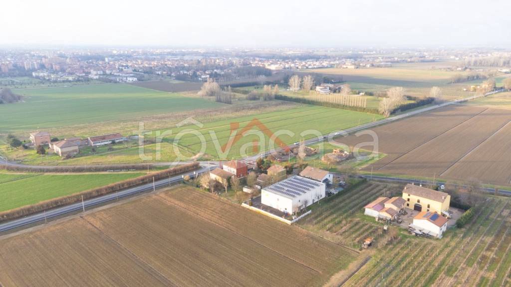 immagine annuncio 3 di 8