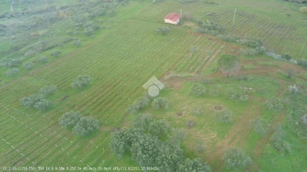 immagine annuncio 11 di 14