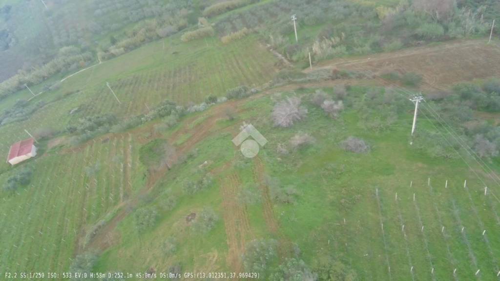 immagine annuncio 12 di 14