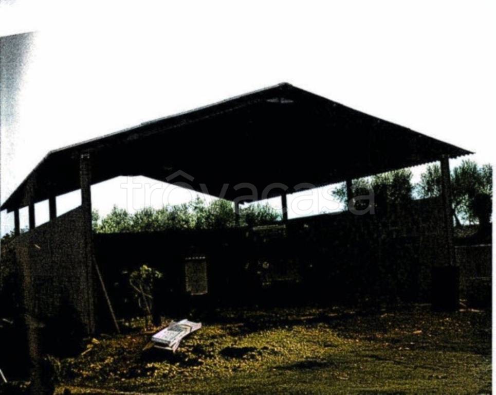 immagine annuncio 5 di 12