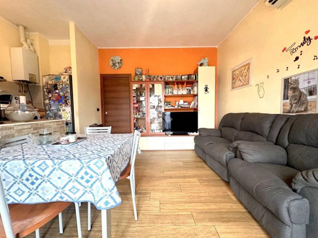 immagine annuncio 5 di 15