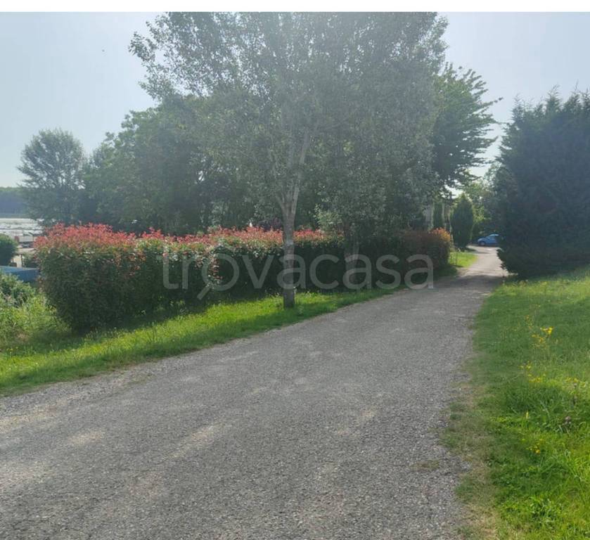 immagine annuncio 6 di 11