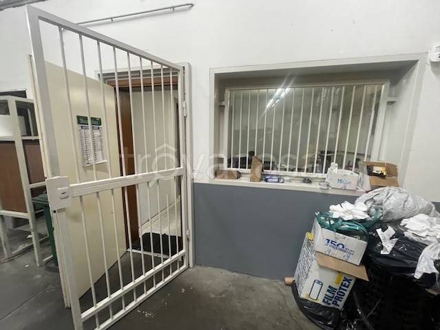 immagine annuncio 3 di 8