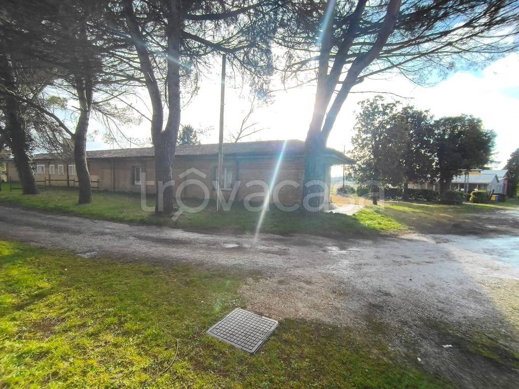 immagine annuncio 9 di 14