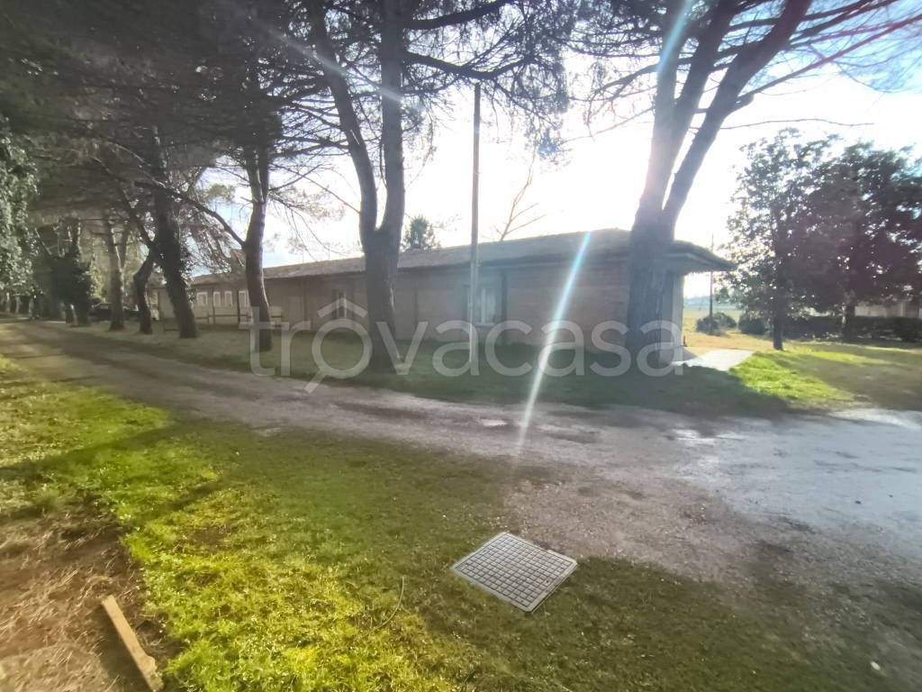 immagine annuncio 10 di 14