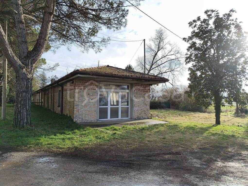 immagine annuncio 4 di 14