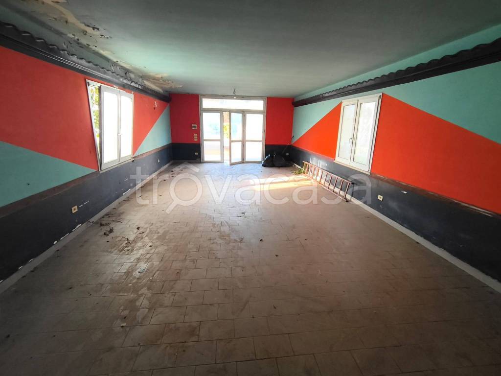 immagine annuncio 7 di 14