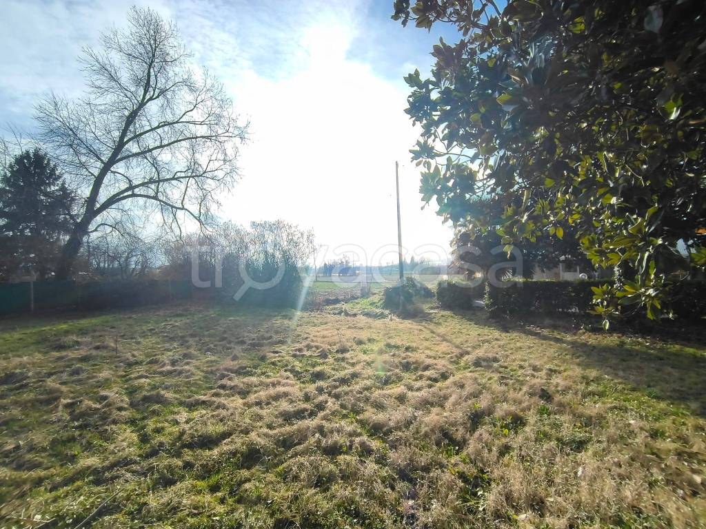 immagine annuncio 6 di 14