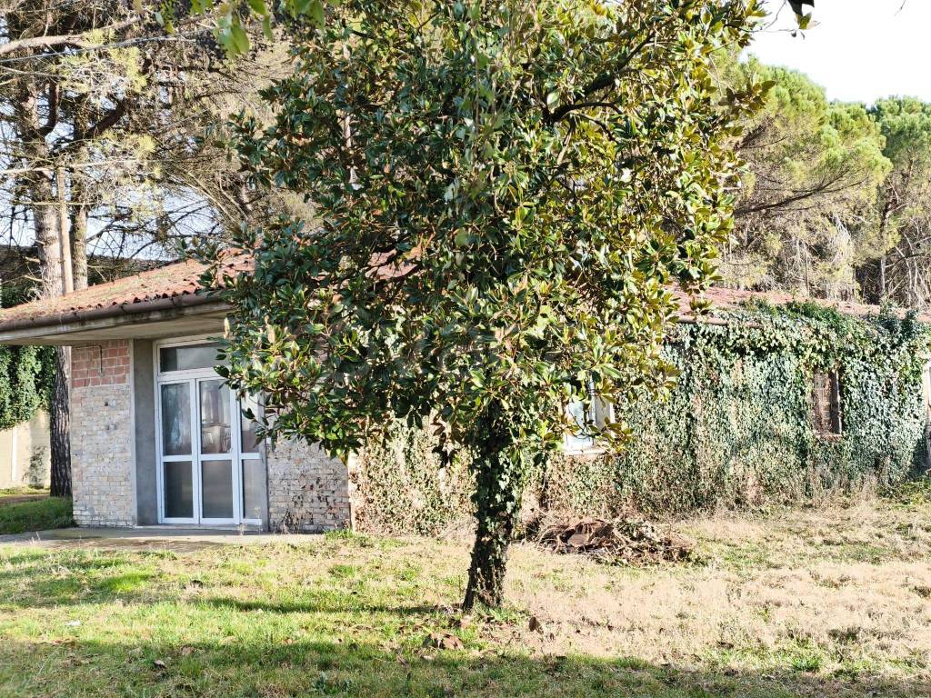 immagine annuncio 5 di 14