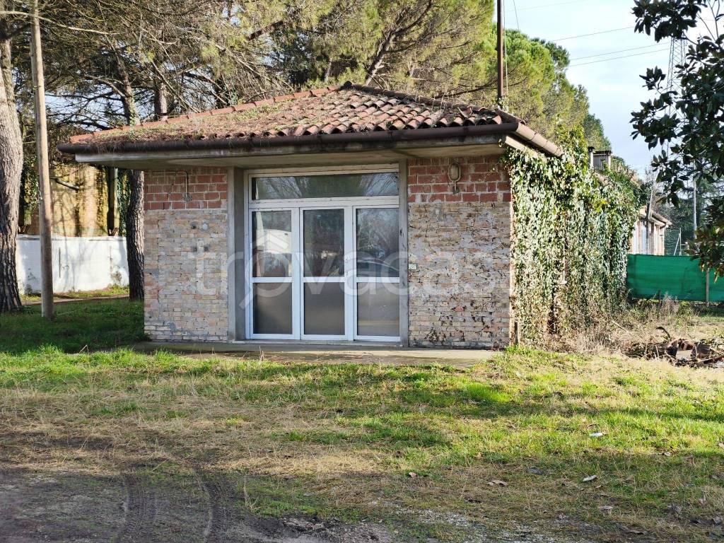 immagine annuncio 2 di 14