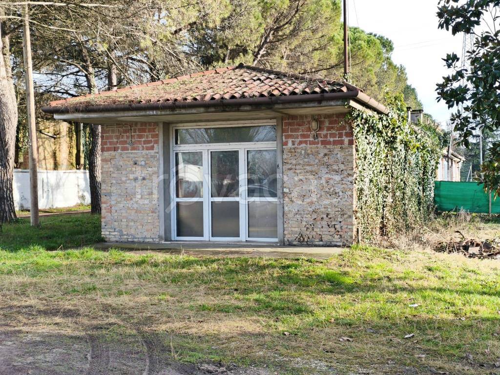 immagine annuncio 3 di 14