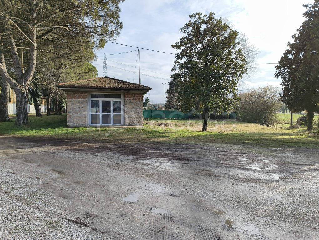 immagine annuncio 12 di 14