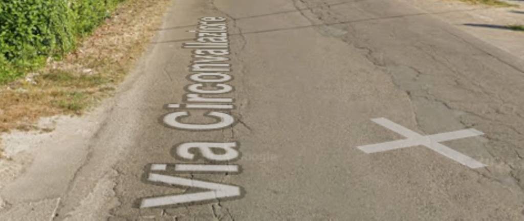 immagine annuncio 9 di 11