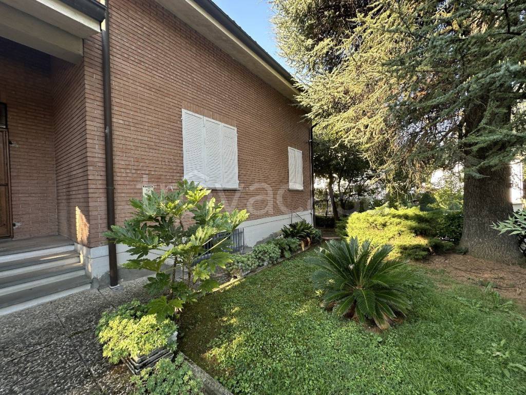 immagine annuncio 3 di 14