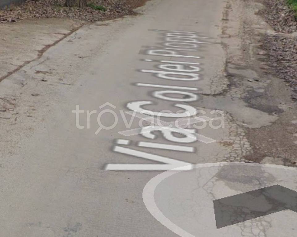 immagine annuncio 7 di 11