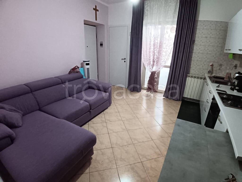 immagine annuncio 8 di 14