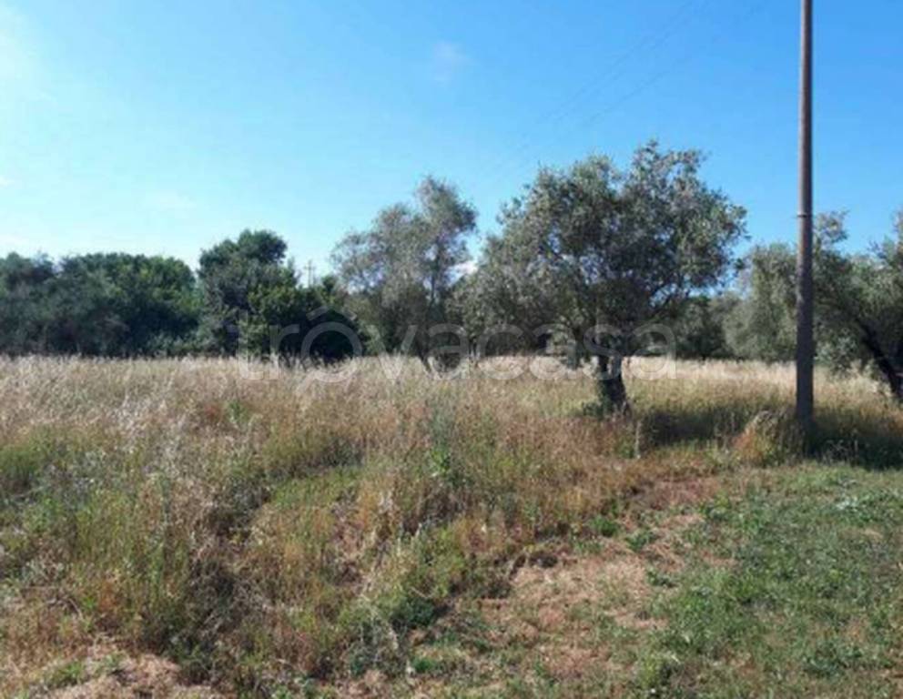 immagine annuncio 4 di 12