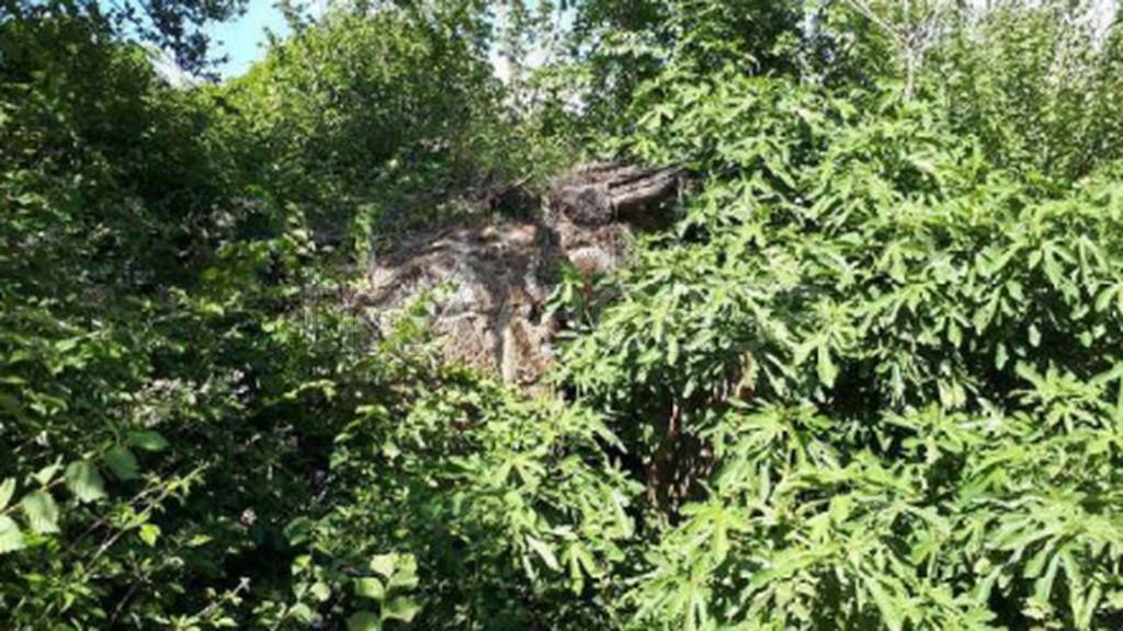 immagine annuncio 6 di 12