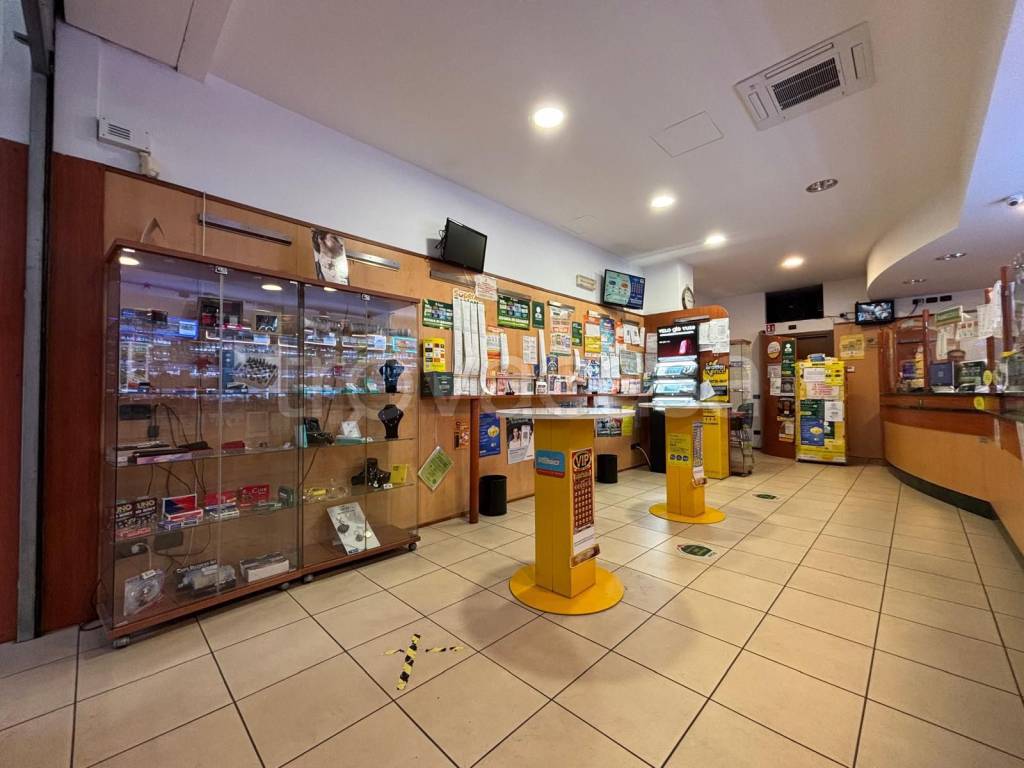 immagine annuncio 2 di 14