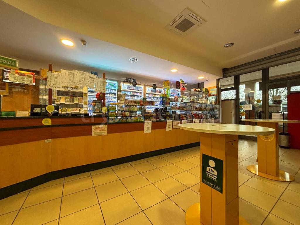 immagine annuncio 3 di 14