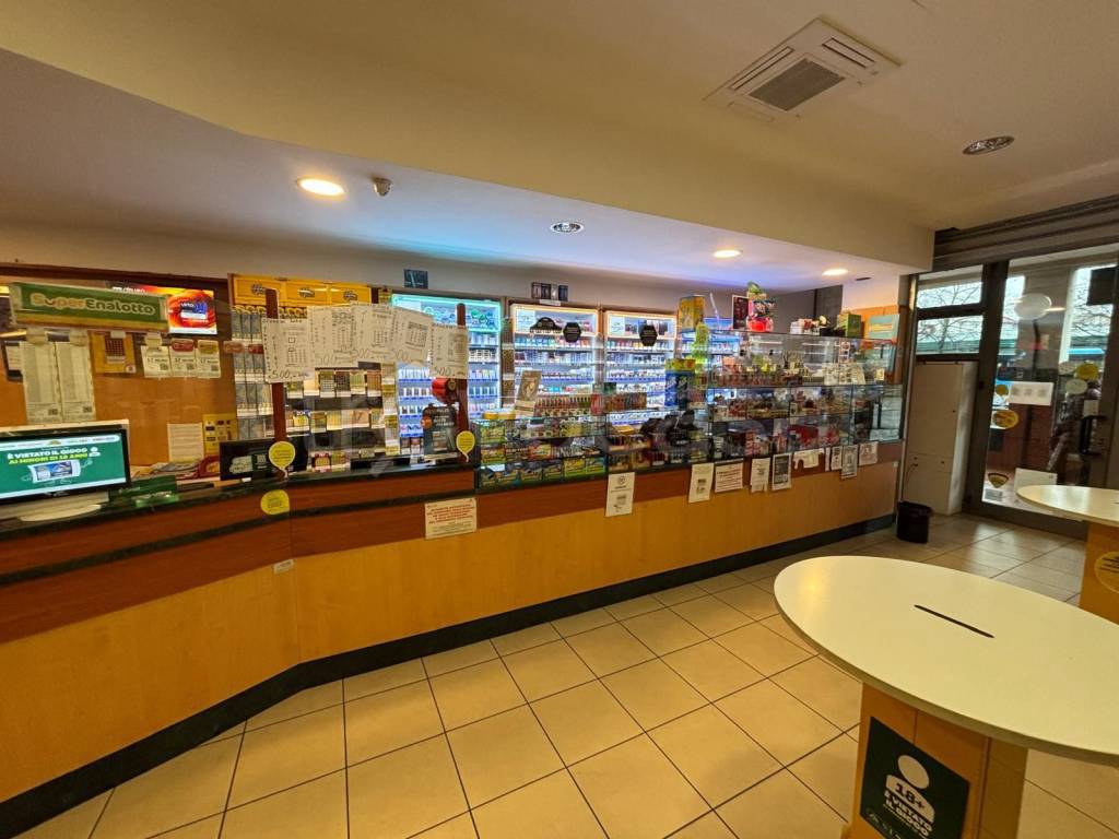 immagine annuncio 4 di 14