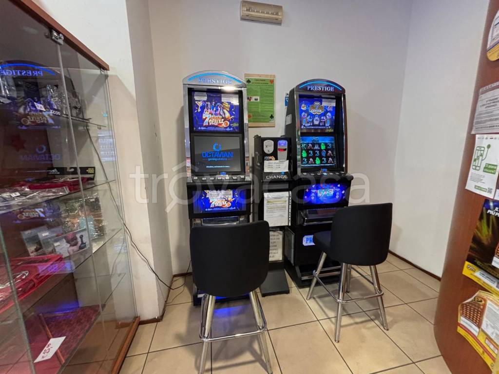 immagine annuncio 6 di 14