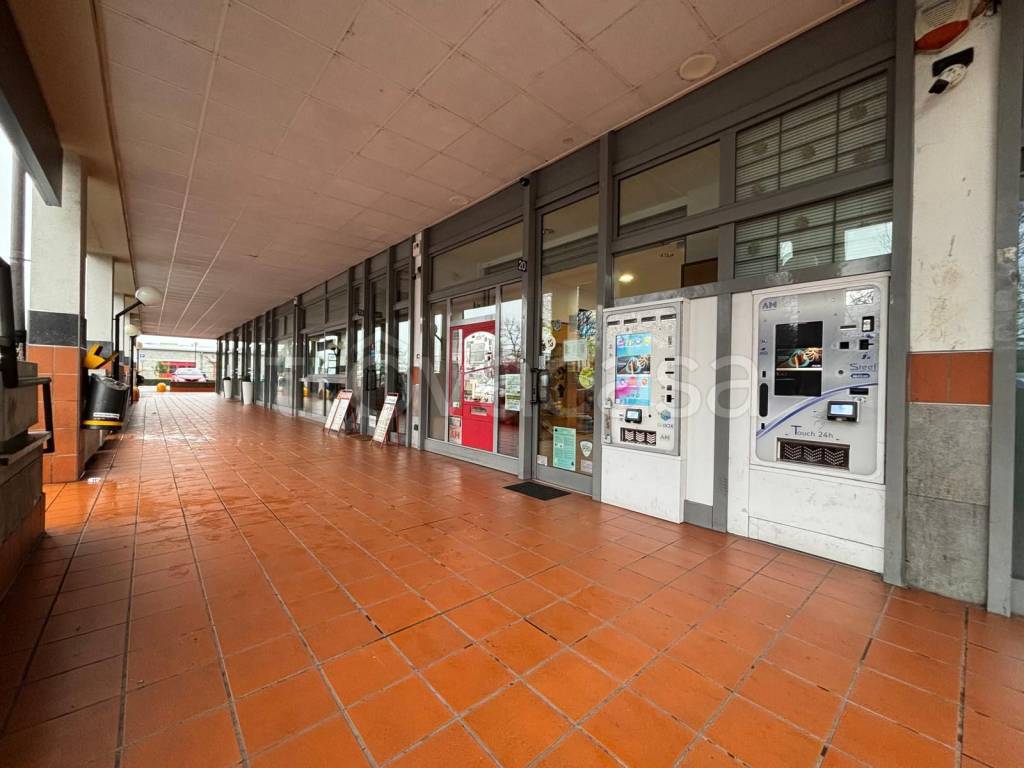 immagine annuncio 9 di 14