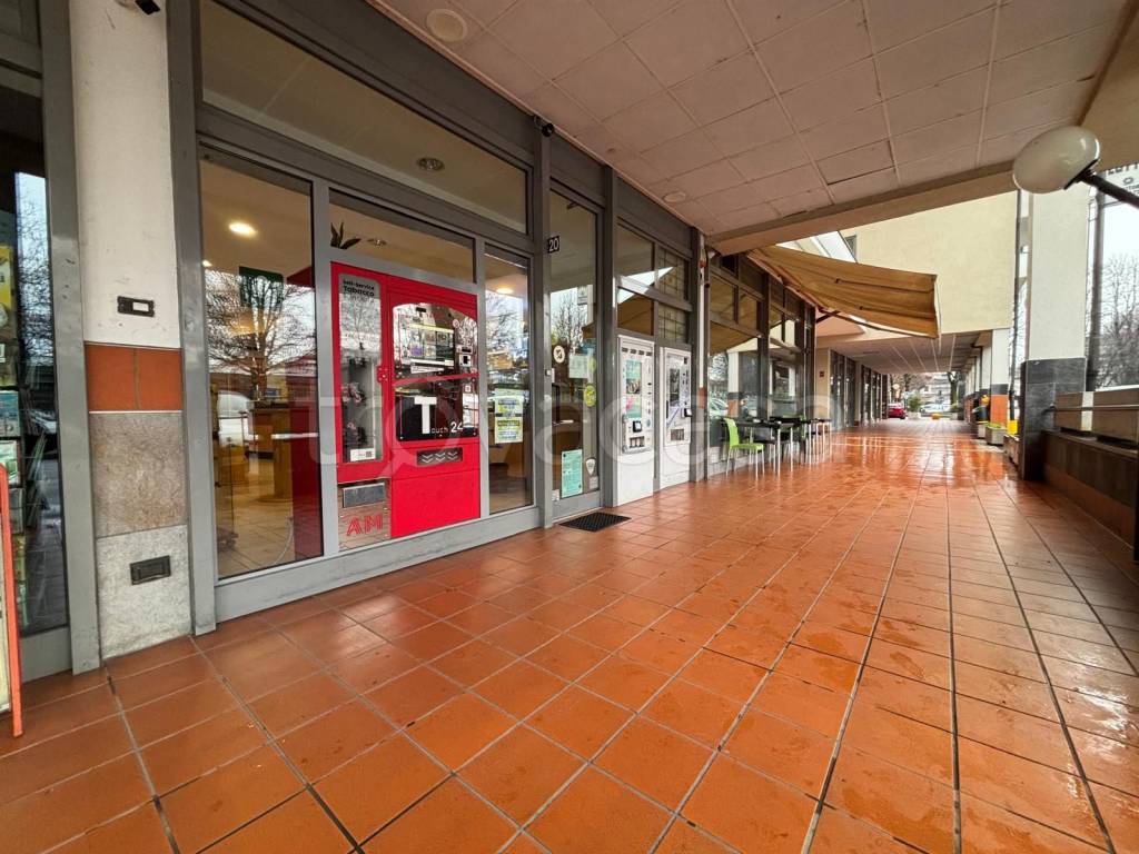 immagine annuncio 12 di 14