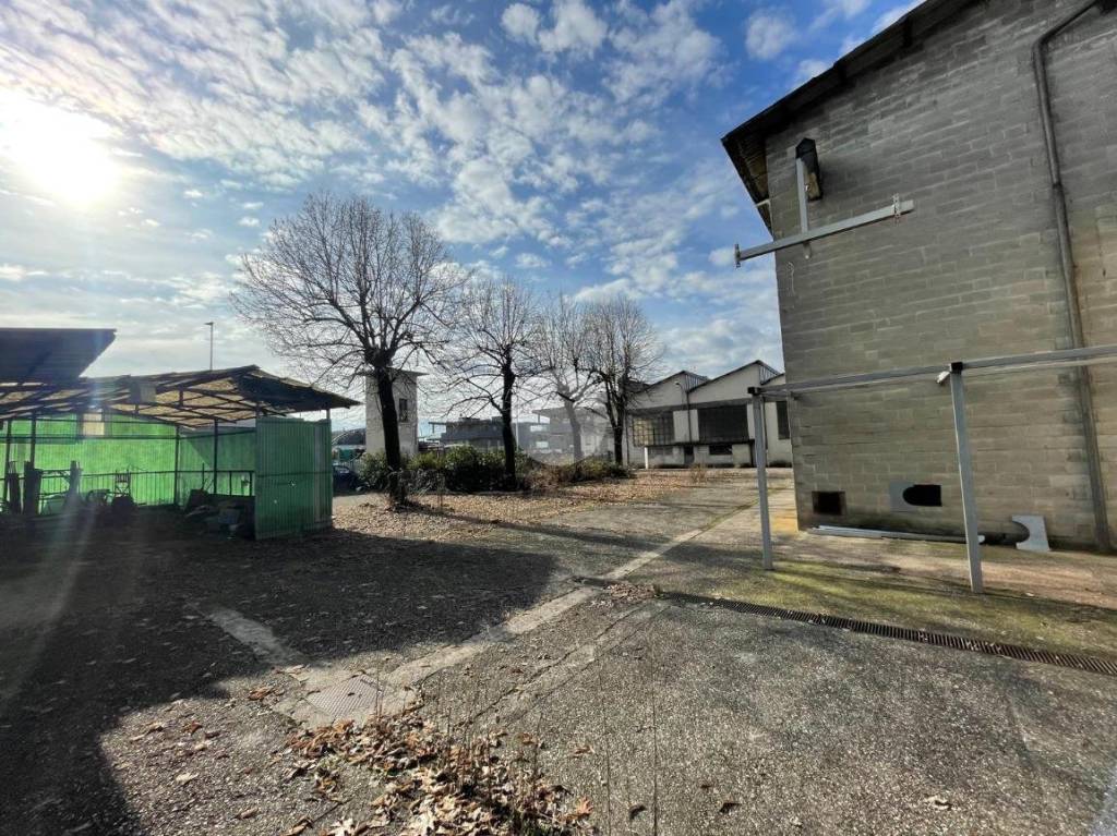 immagine annuncio 10 di 15