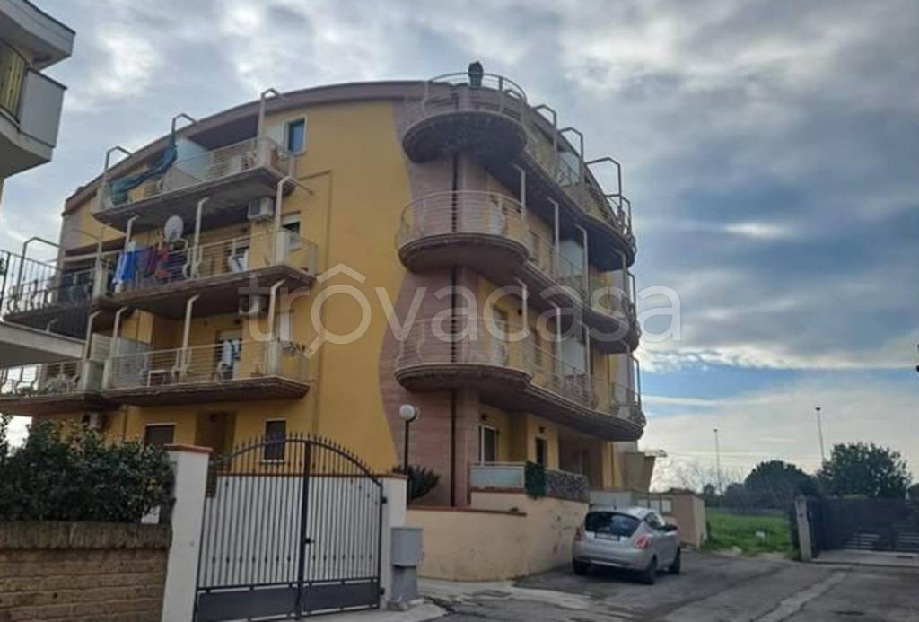 immagine annuncio 10 di 11