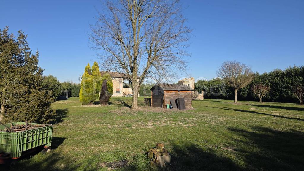 immagine annuncio 5 di 12