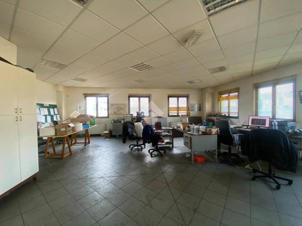 immagine annuncio 5 di 12