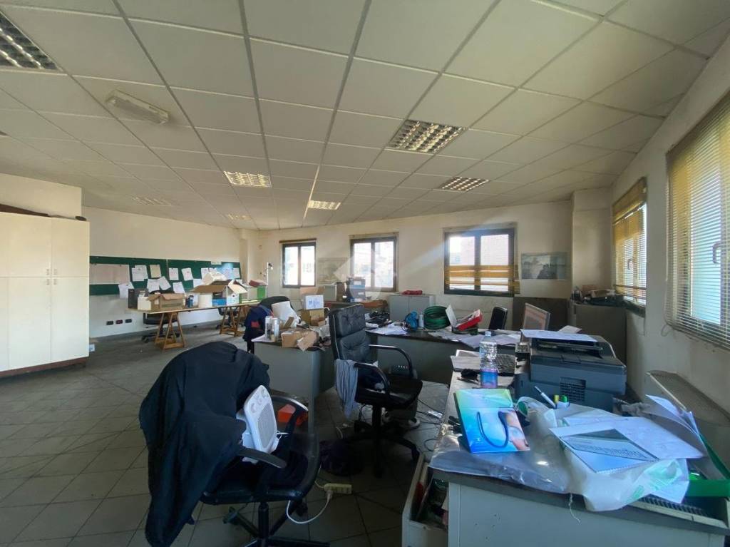 immagine annuncio 6 di 12