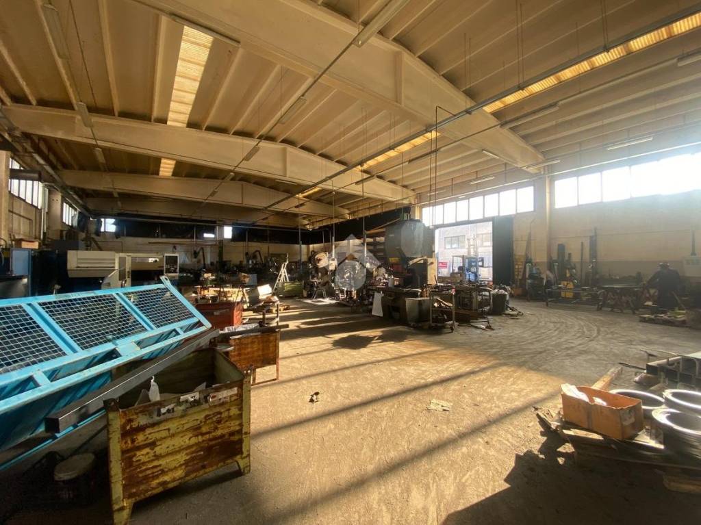 immagine annuncio 7 di 12