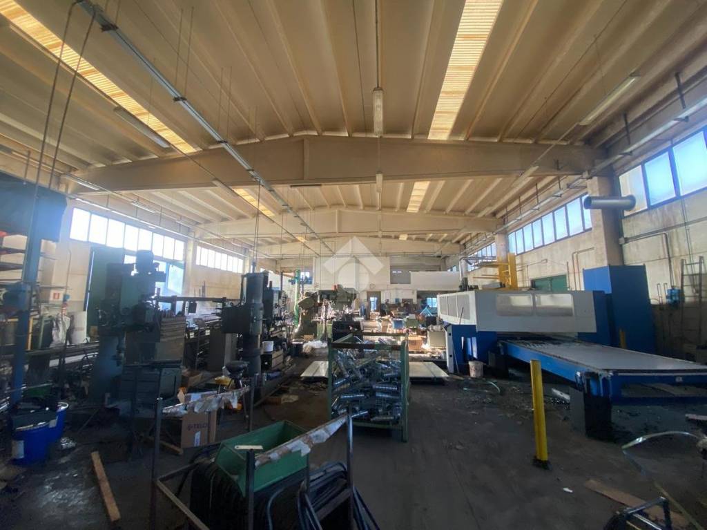 immagine annuncio 8 di 12