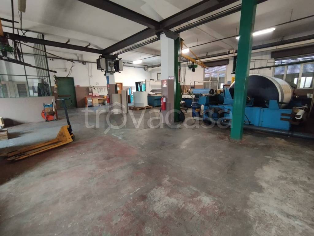 immagine annuncio 7 di 15