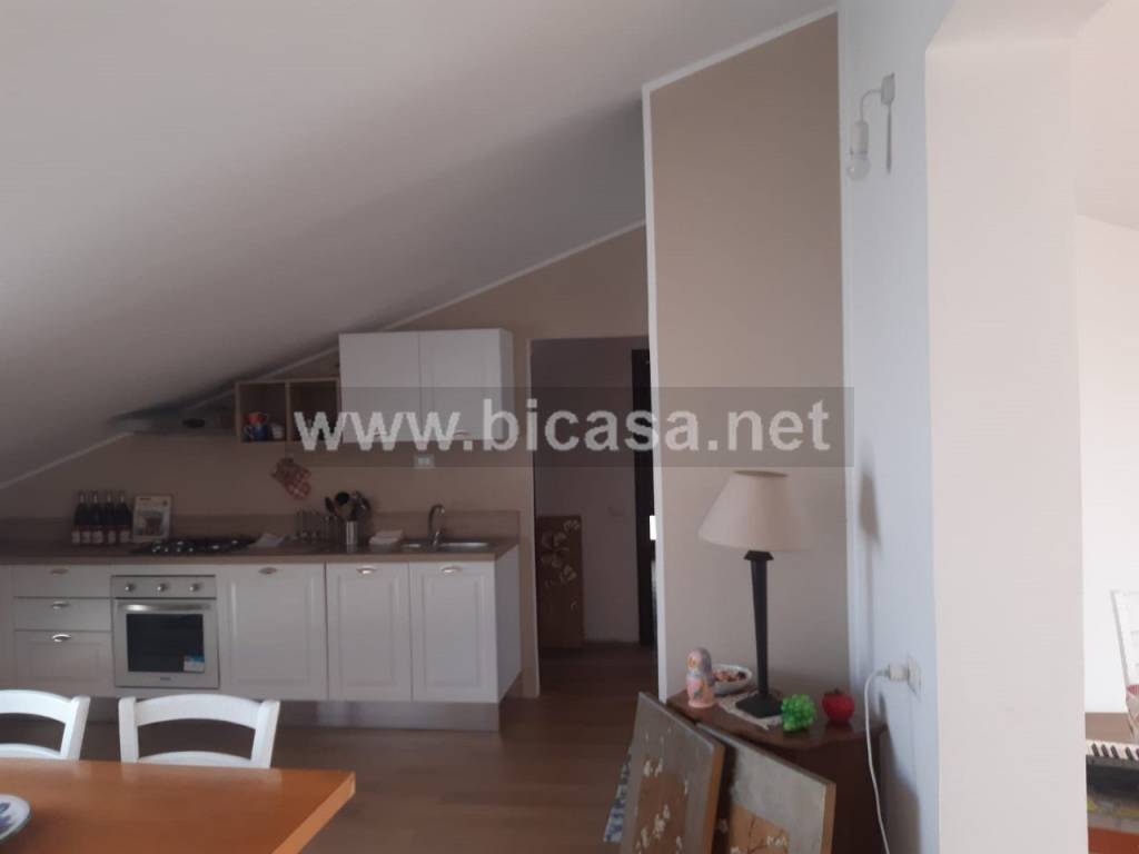 immagine annuncio 3 di 14