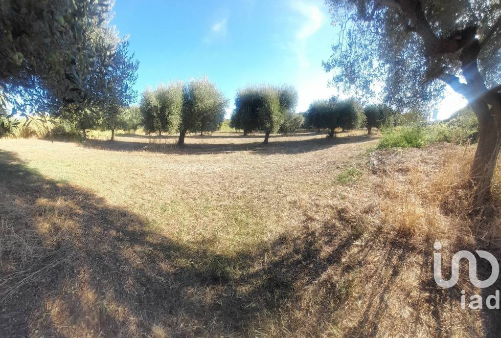 immagine annuncio 8 di 9