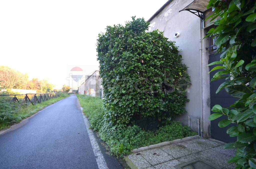 immagine annuncio 13 di 15