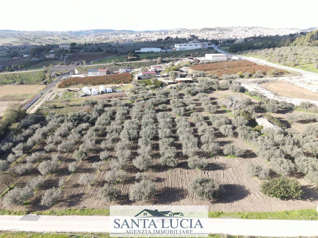 immagine annuncio 4 di 11