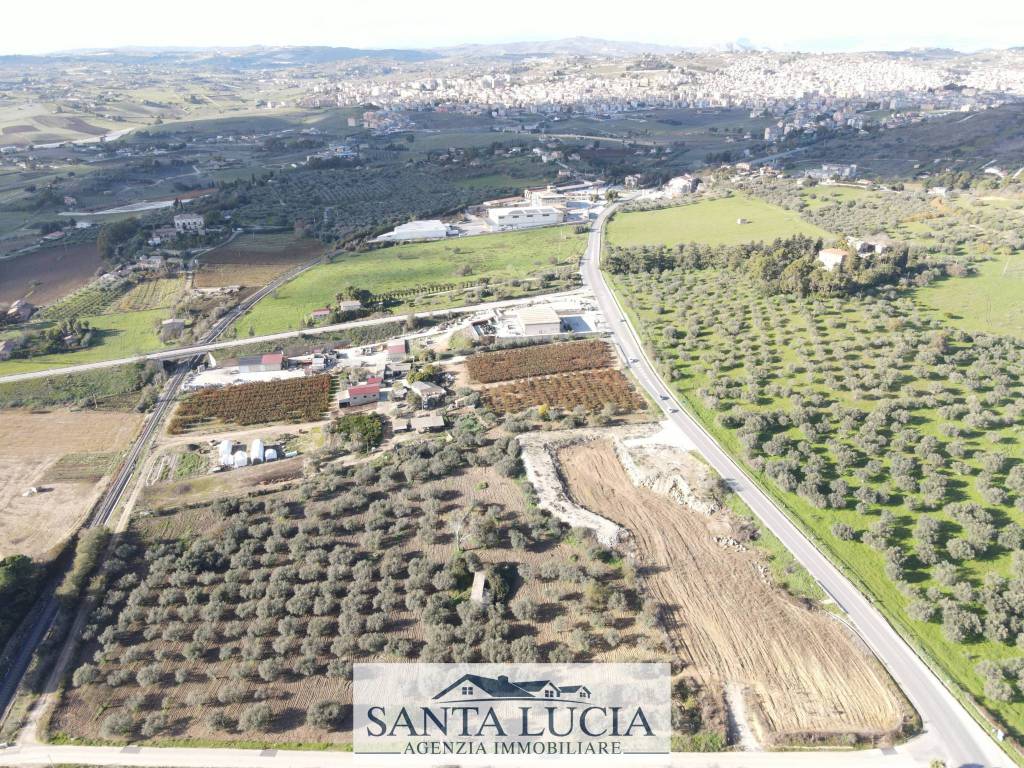 immagine annuncio 6 di 11