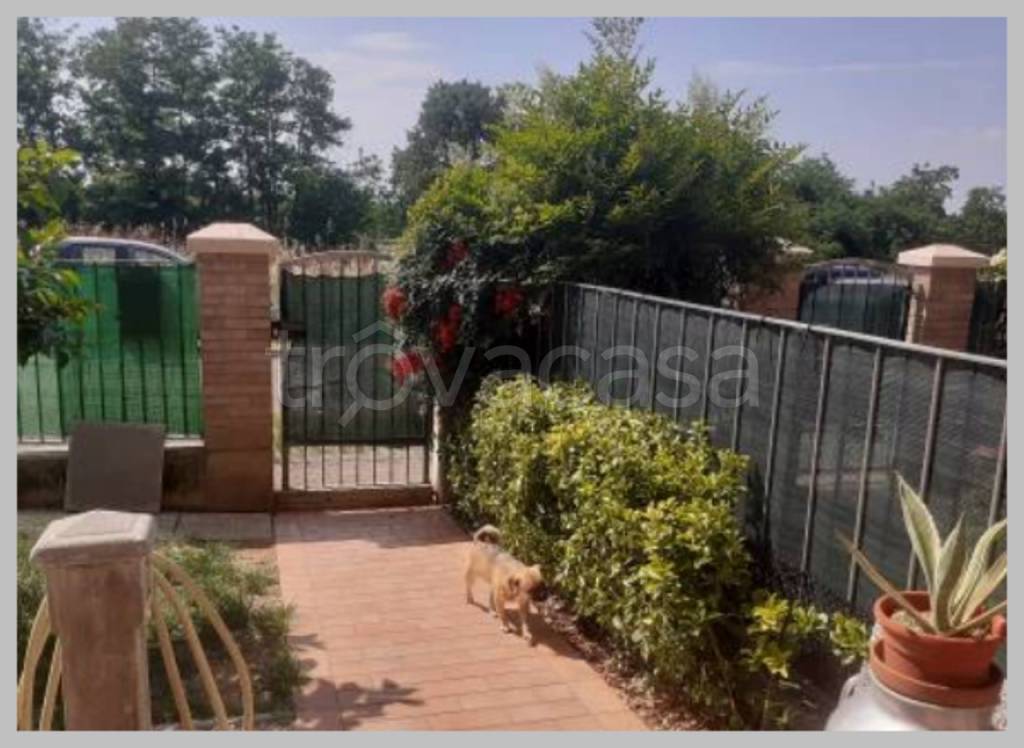 immagine annuncio 11 di 15