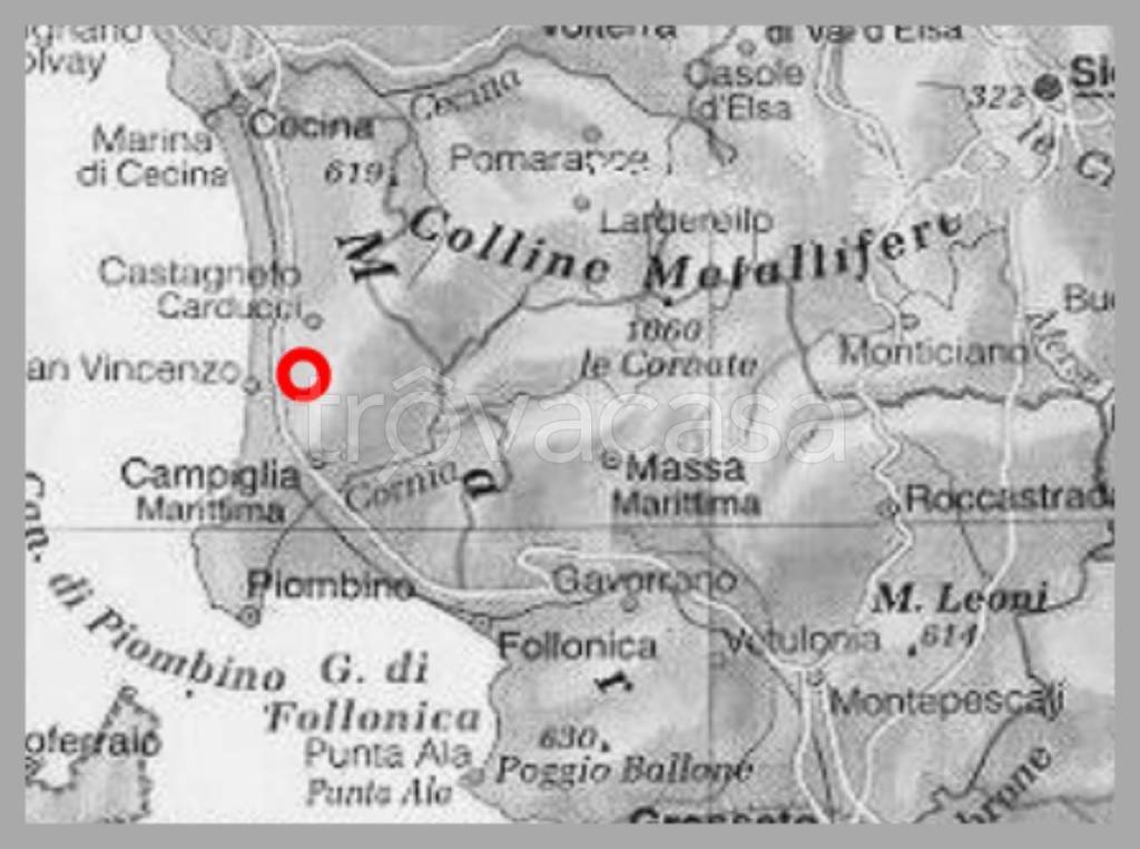 immagine annuncio 10 di 15