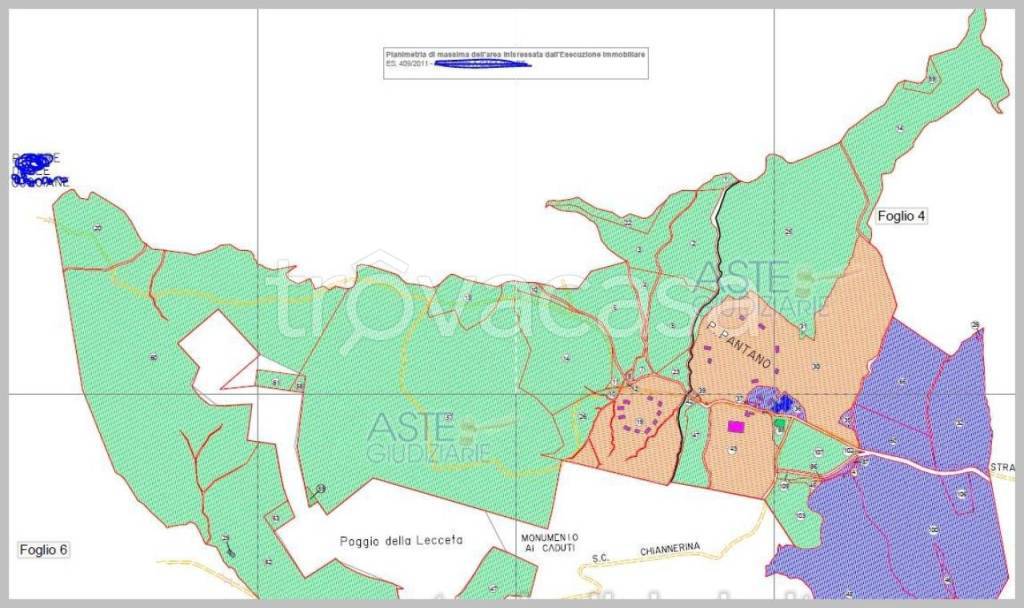 immagine annuncio 8 di 15