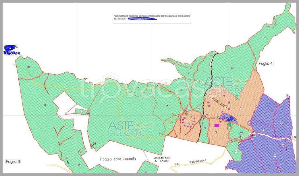 immagine annuncio 13 di 15