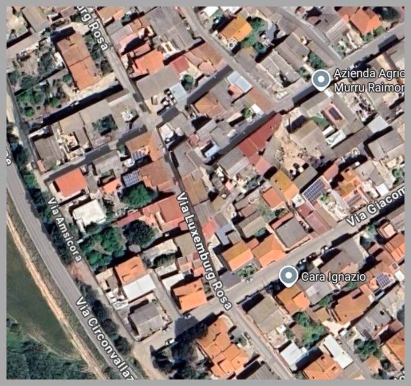 immagine annuncio 8 di 15